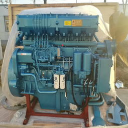 潍坊破碎设备柴油发动机高压油泵 口碑商家、价格与配件厂家全解析